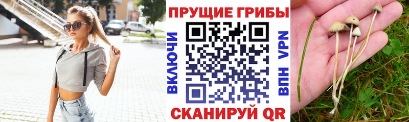 Псилоцибиновые грибы мухоморы  наркота  Белово 