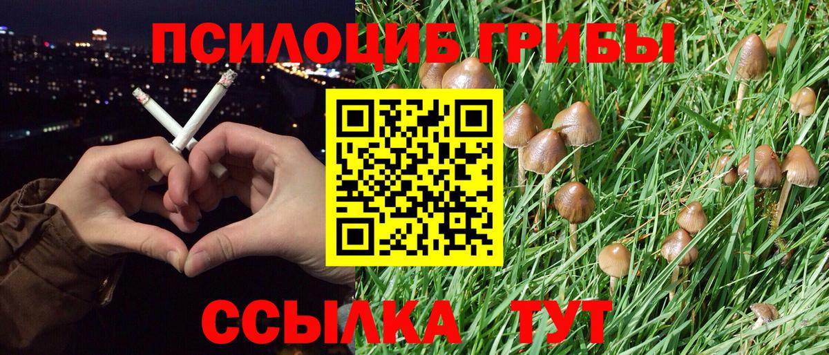 Галлюциногенные грибы GOLDEN TEACHER  Вход с VPN  Белово 