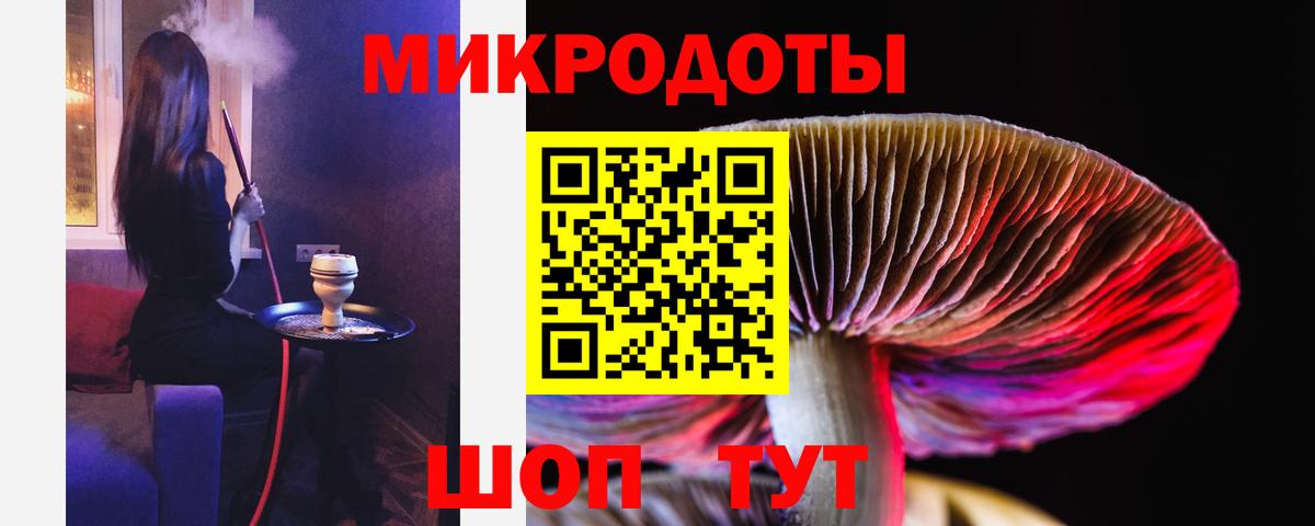 Галлюциногенные грибы Psilocybine cubensis Белово