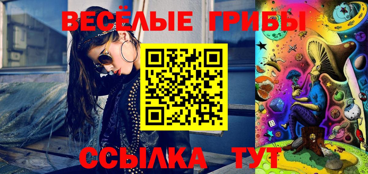 Галлюциногенные грибы Psilocybe Белово