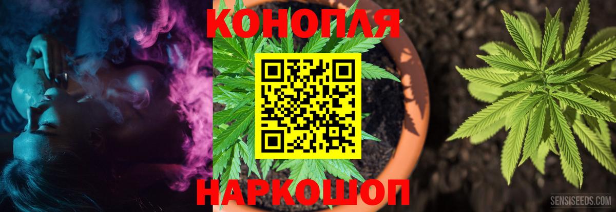 Галлюциногенные грибы Белово